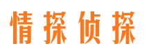 莎车侦探公司